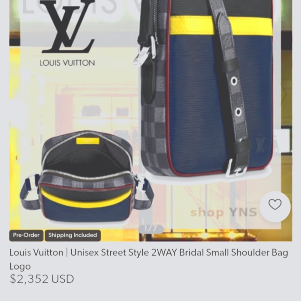 Louis Vuitton bag